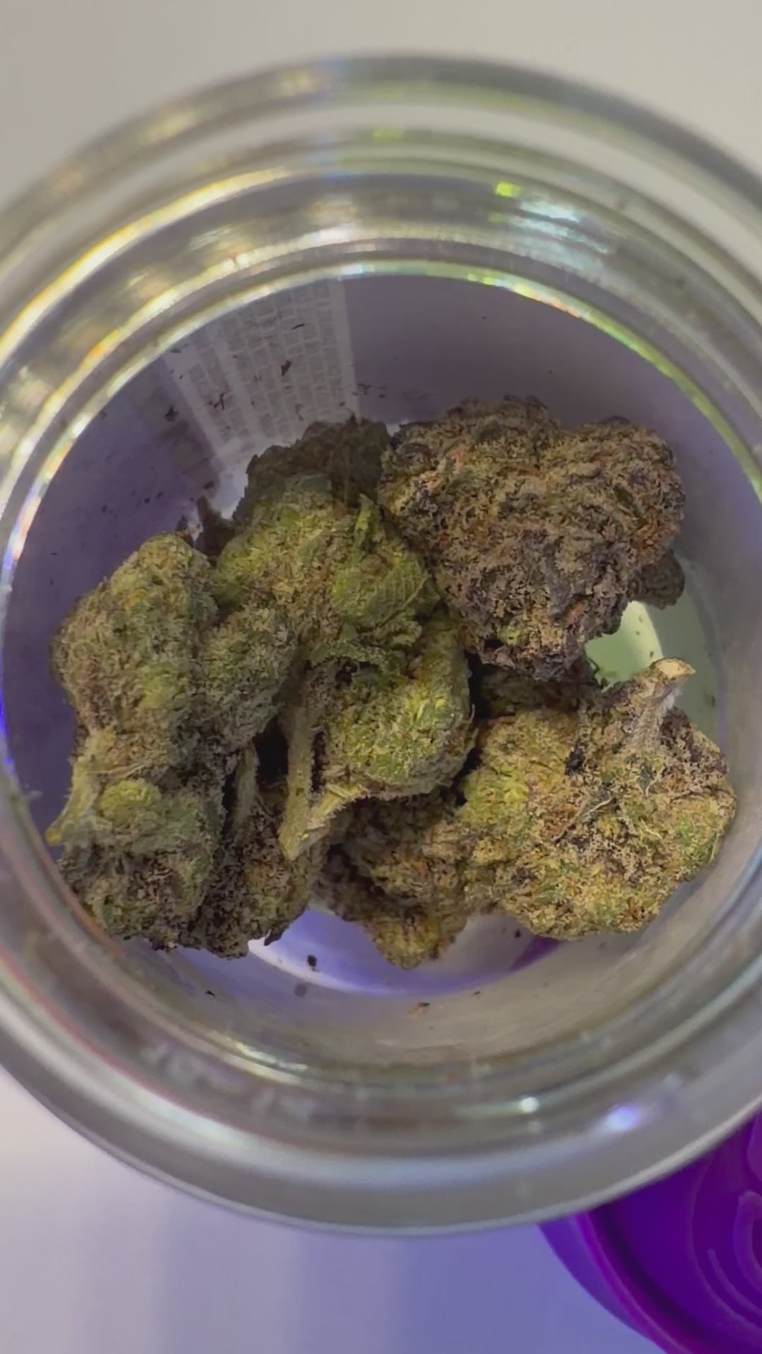 AAA rated Gas 3.5 grams of premium